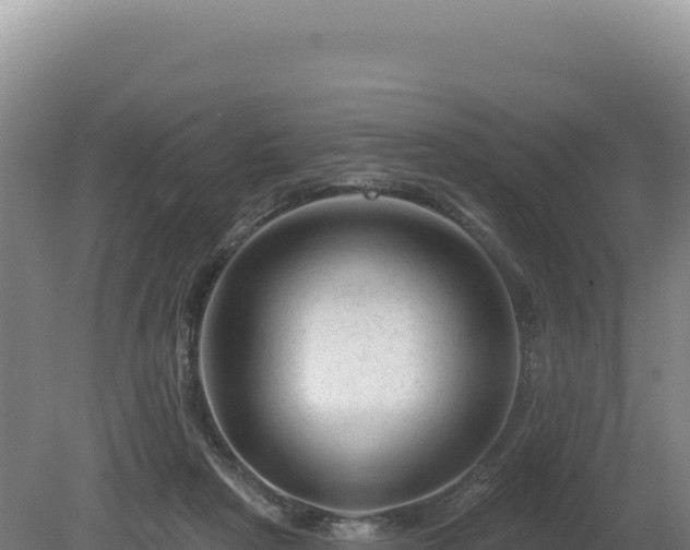 X0000081460265200701191747