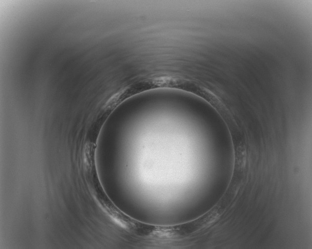 X0000081460280200701191748