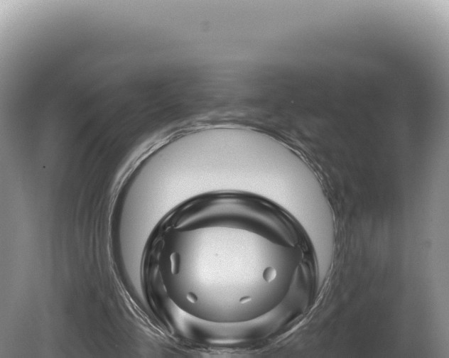 X0000081460293200701191747