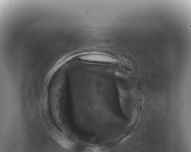 X0000081460295200701191747