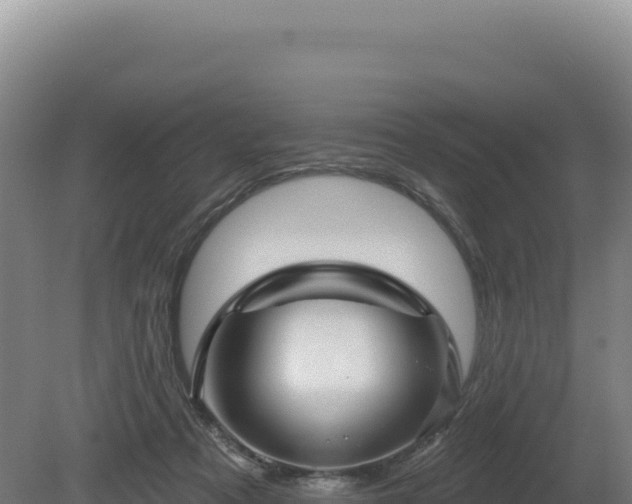 X0000081460313200701191746