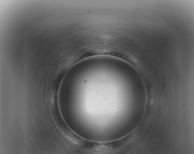 X0000081460315200701191746