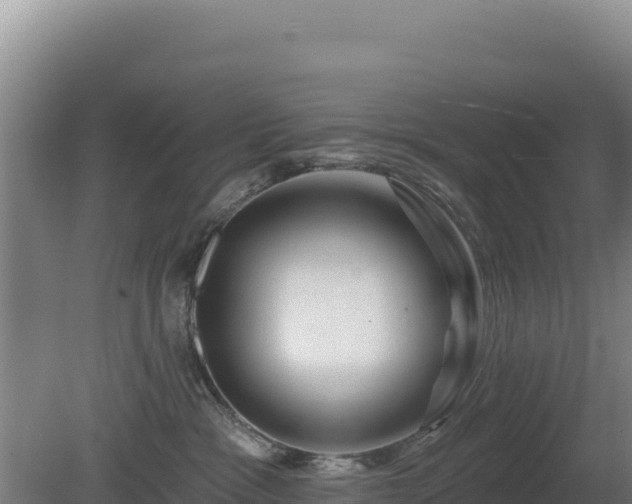 X0000081460333200701191746