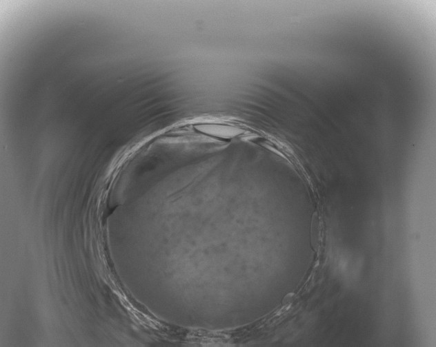X0000081460337200701191745