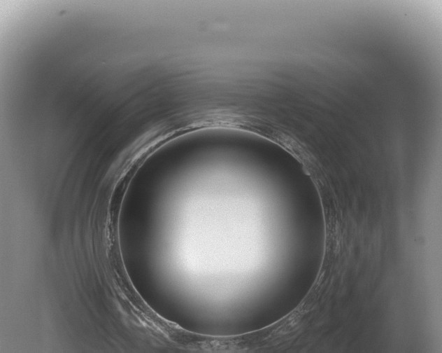 X0000081460338200701191745