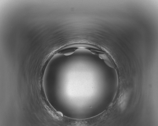 X0000081460345200701191745