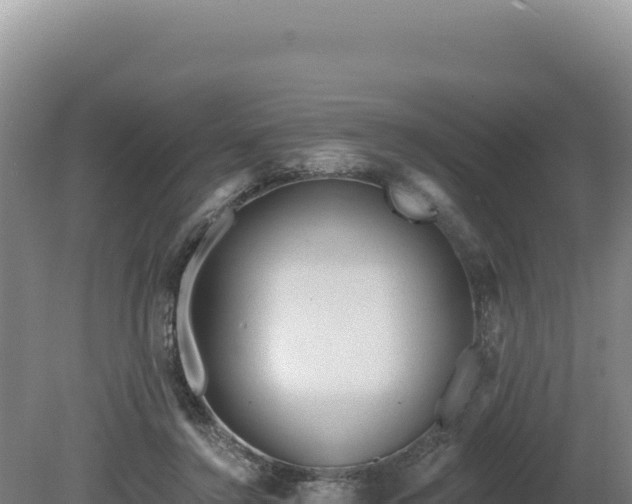 X0000081460356200701191746