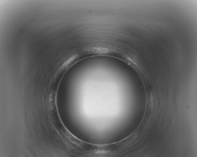 X0000081460360200701191746