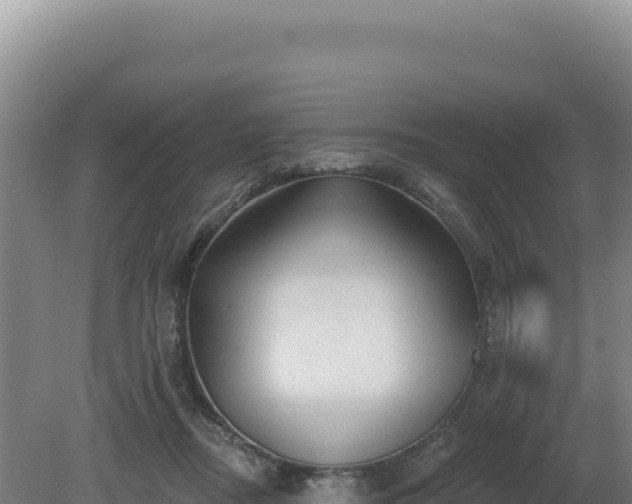 X0000081460362200701191746