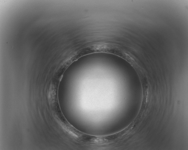 X0000081460372200701191746