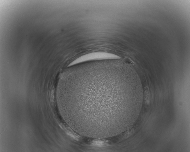 X0000081460375200701191746