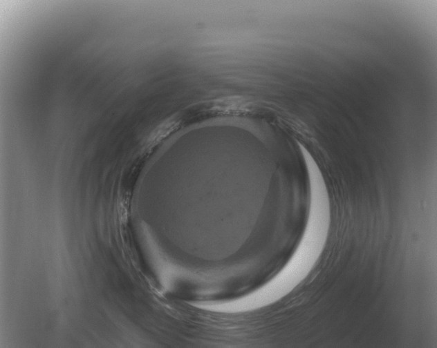 X0000081460382200701191746