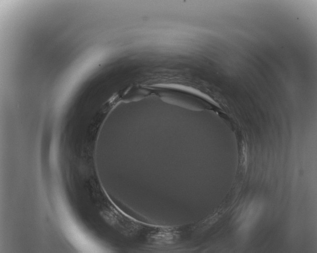 X0000081460383200701191746
