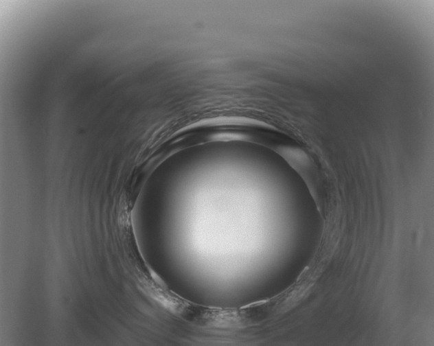 X0000081460384200701191746