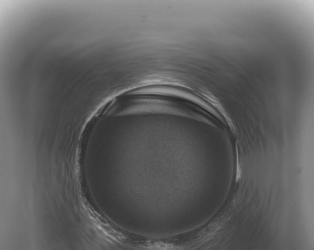 X0000081460387200701191745