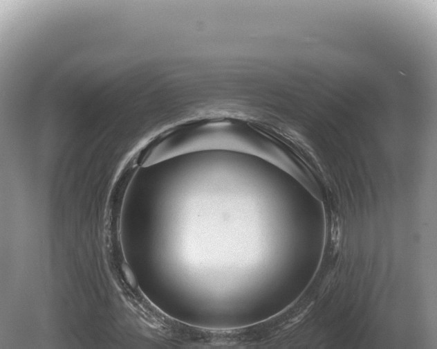 X0000081460388200701191745