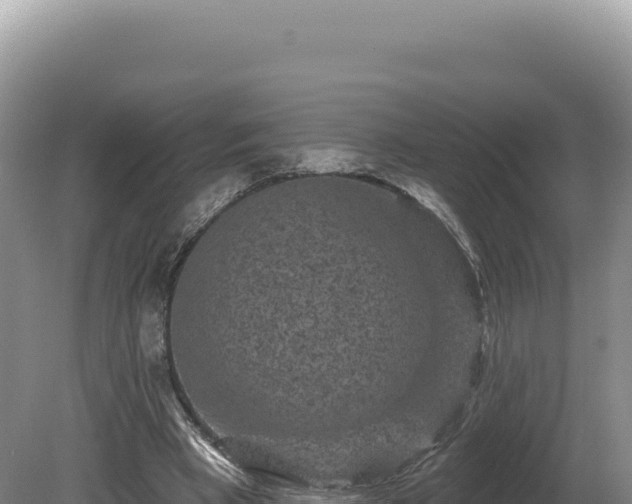 X0000081460393200701191745