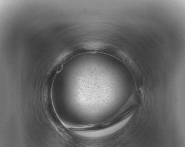 X0000081460400200701191745