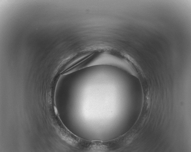 X0000081460403200701191745