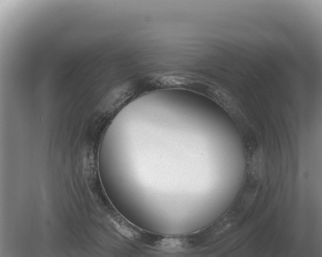 X0000081460418200701191745