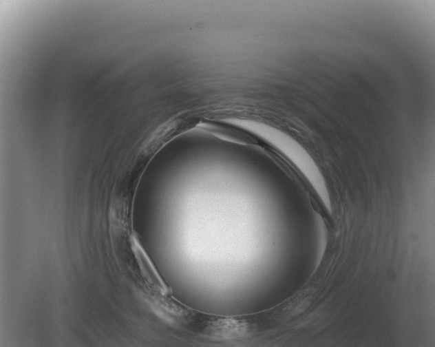 X0000081460421200701191745