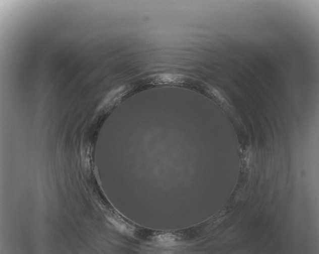 X0000081460423200701191745