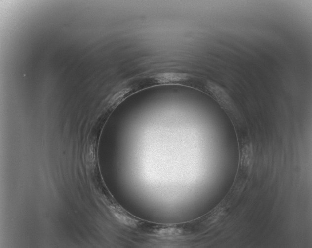 X0000081460426200701191745