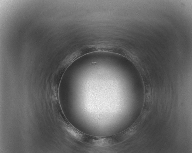 X0000081460430200701191744