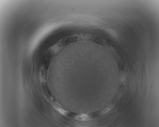 X0000081460431200701191744