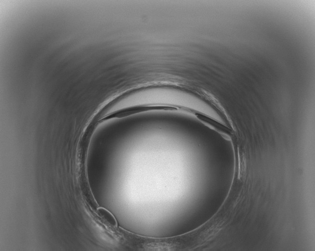 X0000081460435200701191744