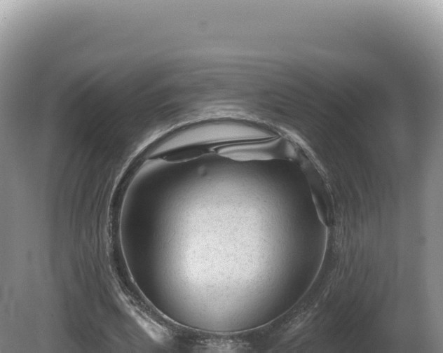 X0000081460439200701191744