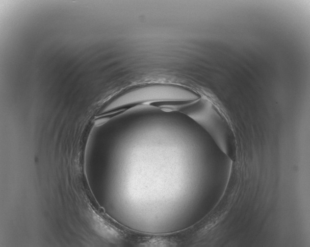 X0000081460441200701191744