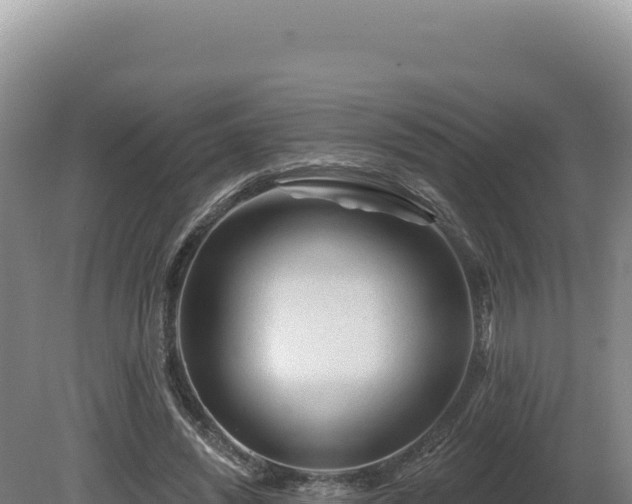 X0000081460444200701191744