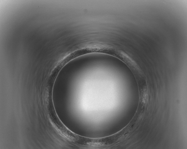 X0000081460448200701191744