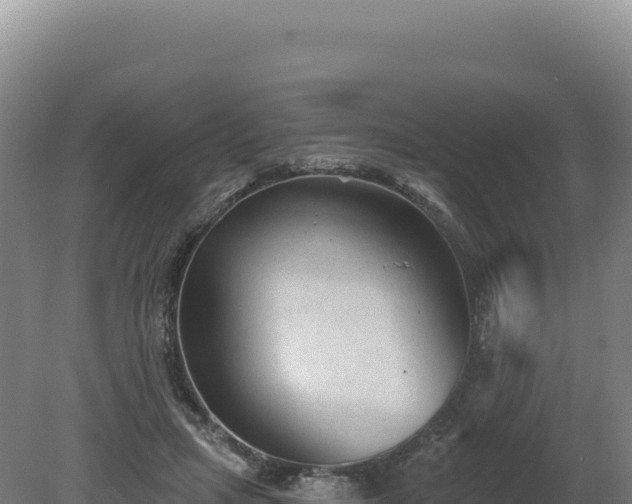 X0000081460455200701191744