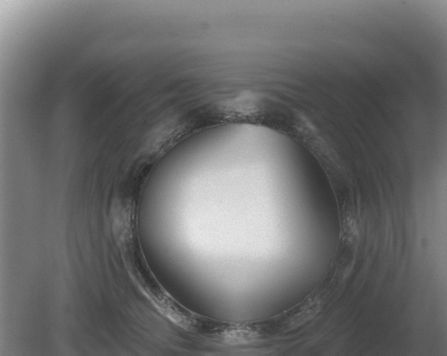 X0000081460468200701191744