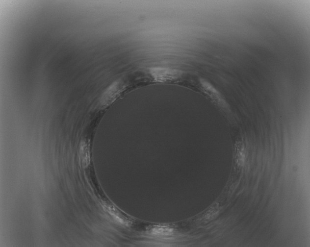 X0000081460471200701191744