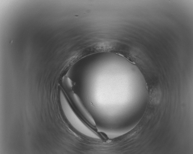X0000081460474200701191744