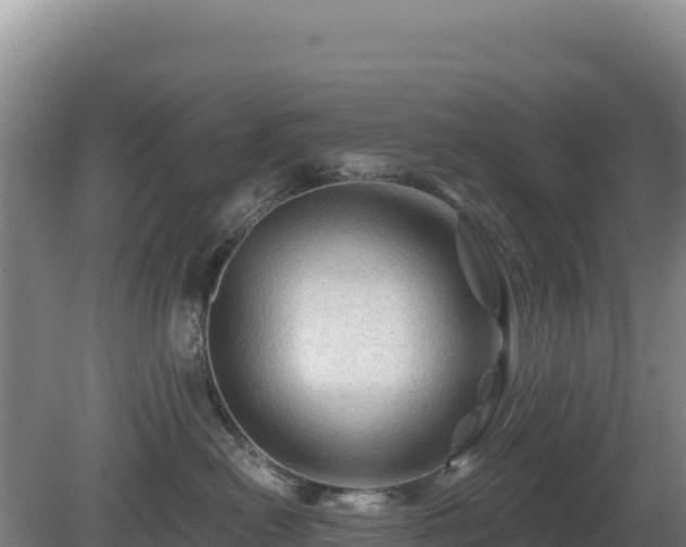 X0000081460478200701191744