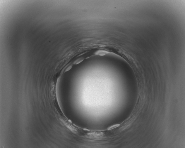 X0000081460480200701191744