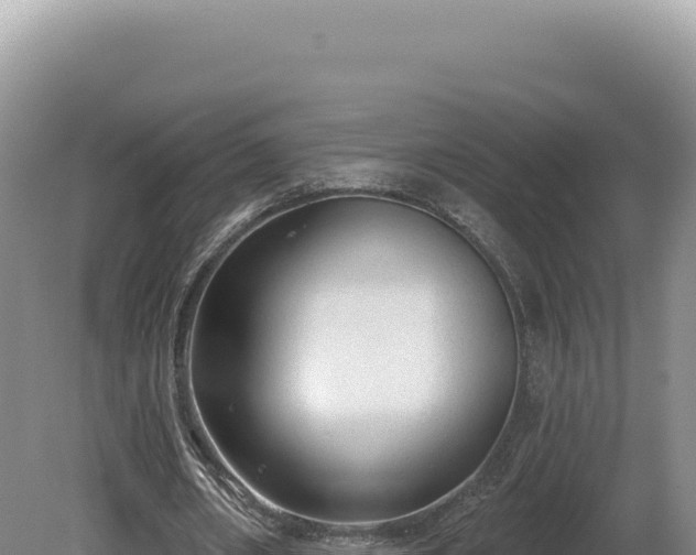 X0000081460482200701191744