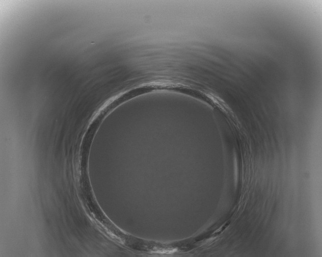 X0000081460484200701191744