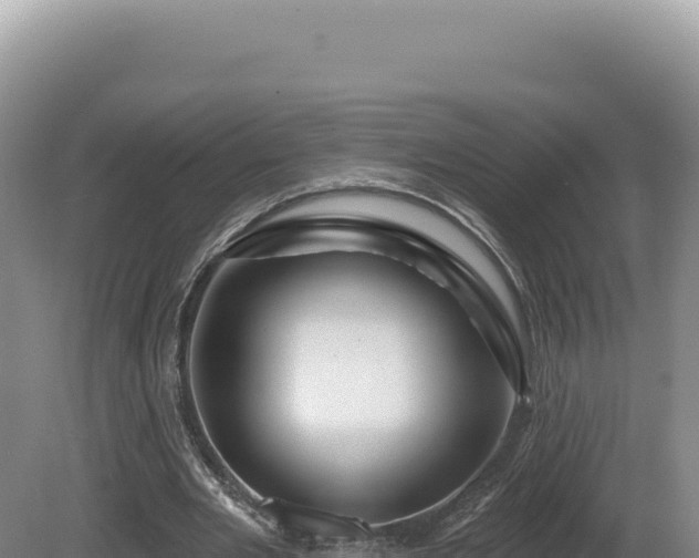X0000081460485200701191744