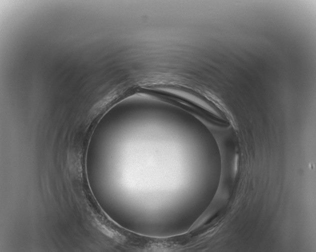 X0000081460489200701191743