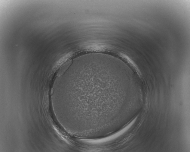 X0000081460493200701191743
