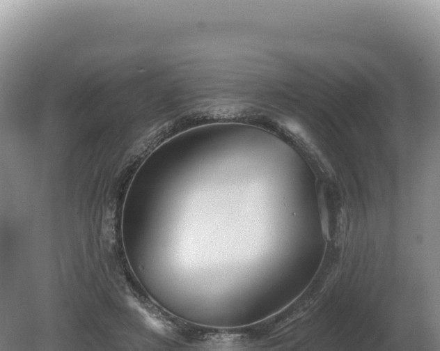 X0000081460497200701191743