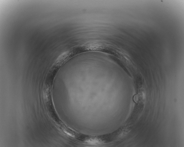 X0000081460503200701191743