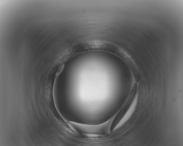 X0000081460509200701191743