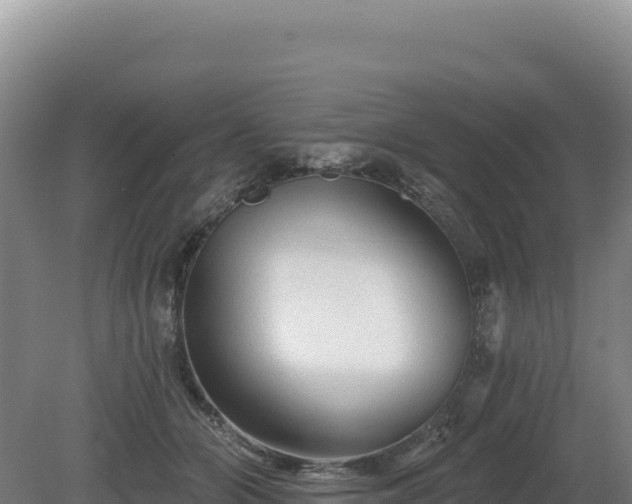 X0000081460510200701191743