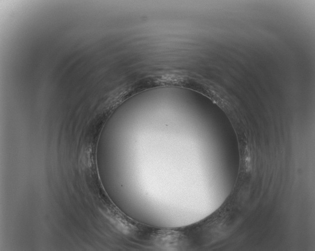 X0000081460514200701191743